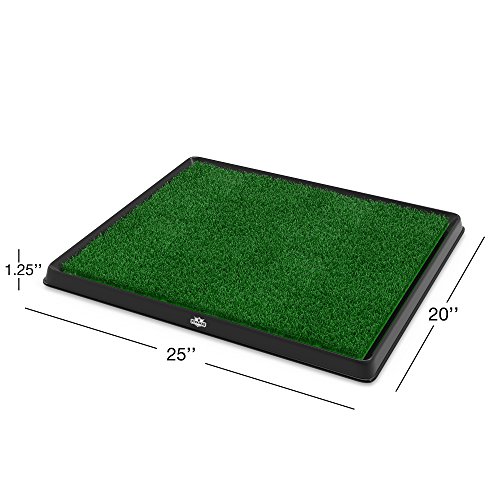 51OOScU89L.jpg
